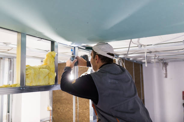 Best Residential Insulation in Shepherdstown, WV