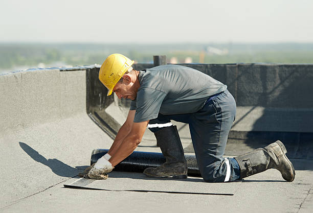 Best Insulation Installation Services in Shepherdstown, WV